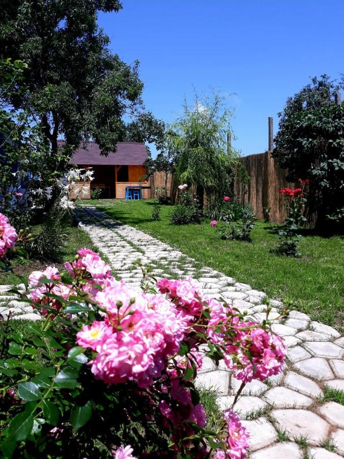 Casa Pavel Jurilovca Vila Exterior foto