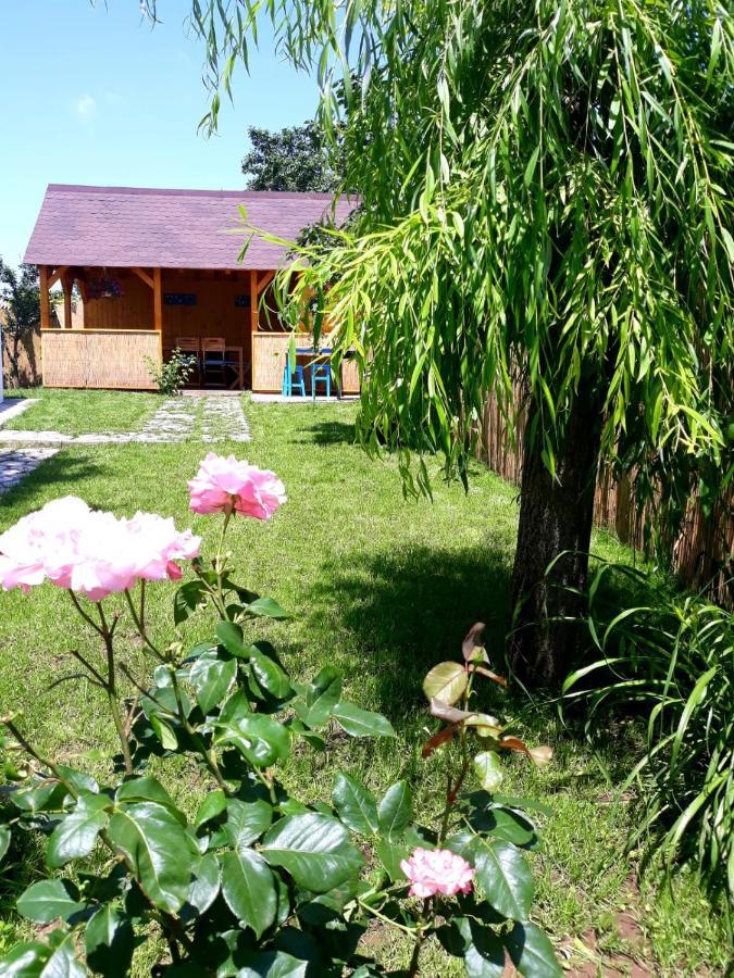 Casa Pavel Jurilovca Vila Exterior foto