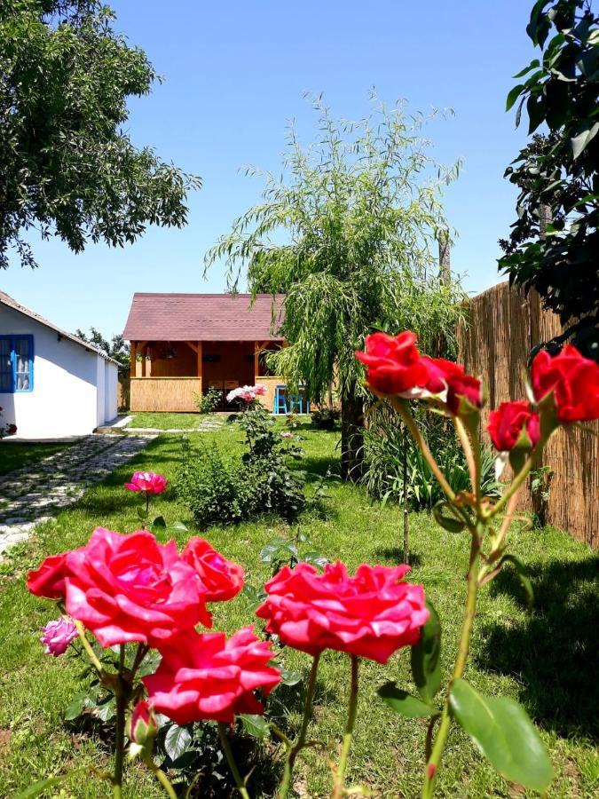Casa Pavel Jurilovca Vila Exterior foto