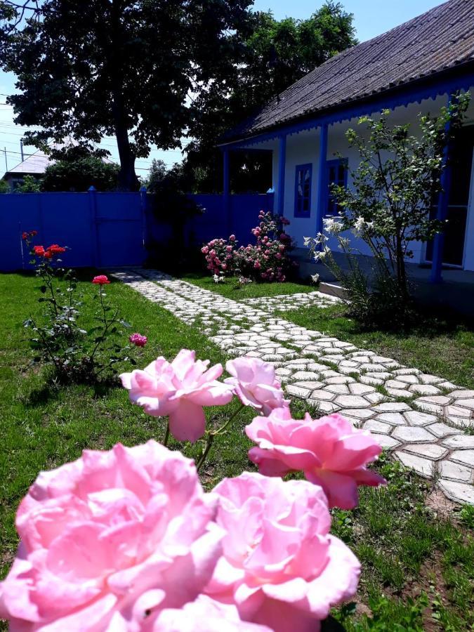 Casa Pavel Jurilovca Vila Exterior foto